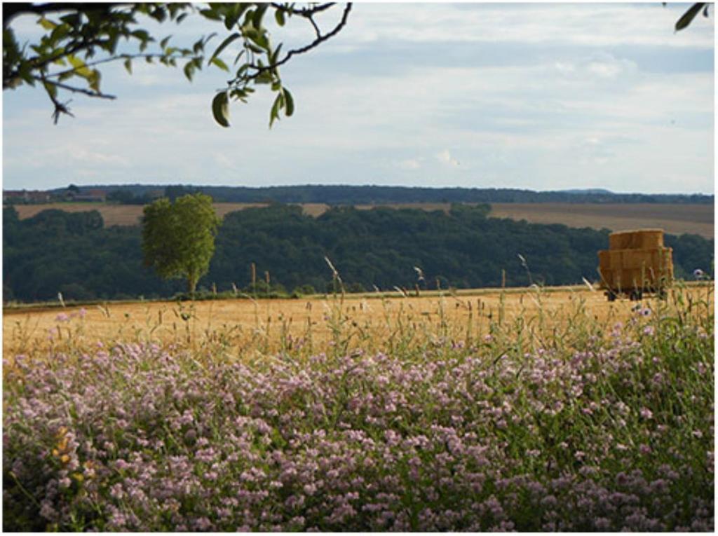 Auberge De La Tuilerie Surgy Zewnętrze zdjęcie